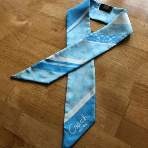 Coach ponytail or purse scarf light blue stripe
